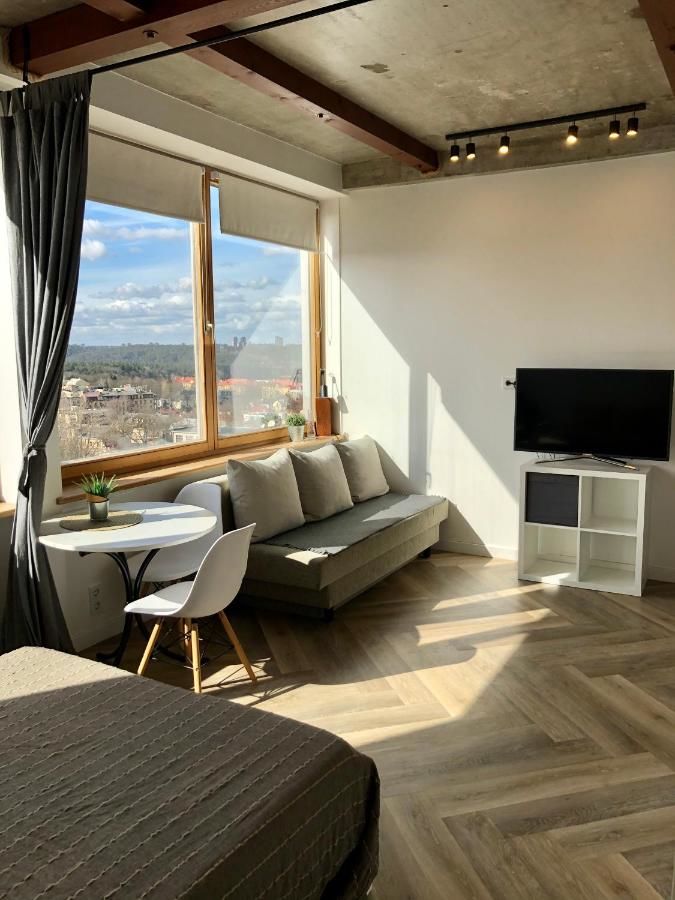 Апартаменты Vilnius Center Apartment - Old Town View Вильнюс