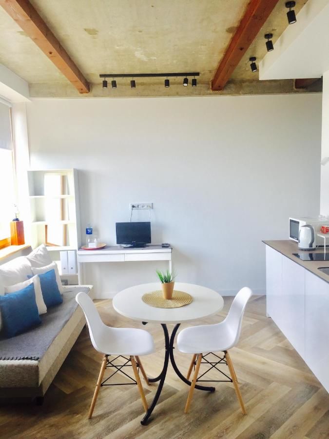 Апартаменты Vilnius Center Apartment - Old Town View Вильнюс