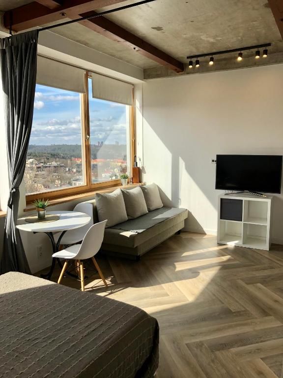 Апартаменты Vilnius Center Apartment - Old Town View Вильнюс